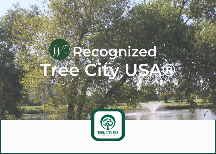 2024 Tree City USA Recognition