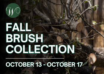 2025 Fall Brush Collection